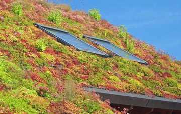 Roughley living roof systems